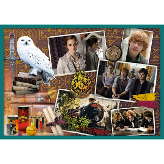 Puzzle 10w1 Harry Potter w Świecie Harry'ego Pottera EAN: 5900511903928