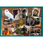 Puzzle 10w1 Harry Potter w Świecie Harry'ego Pottera EAN: 5900511903928 Puzzle 10w1 Harry Potter w Świecie Harry'ego Pottera EAN: 5900511903928