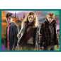 Puzzle 10w1 Harry Potter w Świecie Harry'ego Pottera EAN: 5900511903928 Puzzle 10w1 Harry Potter w Świecie Harry'ego Pottera EAN: 5900511903928