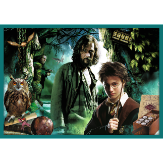 Puzzle 10w1 harry potter w świecie harrego pottera 90392