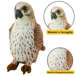 Pluszowa maskotka przytulanka sokół wędrowny brązowy 30 cm, EAN: 5905991048299