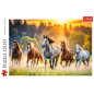 Puzzle Dzikie Konie Trefl 26215 - 1500 elementów, EAN: 5900511262155
