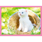 Puzzle 4w1 - Zabawne Kotki Trefl, EAN: 5900511343960