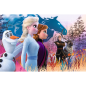 Puzzle "Magiczna Wyprawa Frozen 2" - 24 maxi, Trefl, EAN: 5900511142983