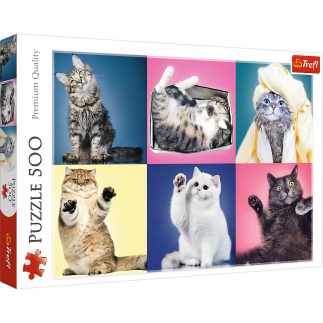 Puzzle 500 el. kociaki trefl 37377