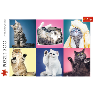 Puzzle Kociaki Trefl 37377, 500 el. - EAN: 5900511373776