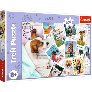 Puzzle - "300" - zdjęcia z wakacji / trefl 23003