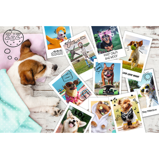 Puzzle Trefl 300 - Zdjęcia z Wakacji, EAN: 5900511230031