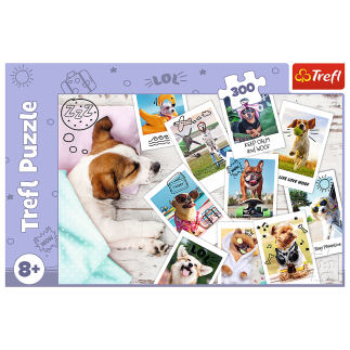 Puzzle - "300" - zdjęcia z wakacji / trefl 23003