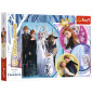 Puzzle 100 glitter - W blasku miłości - Disney Frozen 2 - Trefl 14817, EAN: 5900511148176