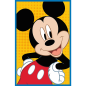Puzzle Ekipa Myszki Miki Trefl - 3x80 EAN: 5900511348873