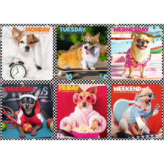 Puzzle Wesołe Psy Trefl - 200 elementów | EAN: 5900511132793