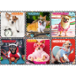 Puzzle Wesołe Psy Trefl - 200 elementów | EAN: 5900511132793