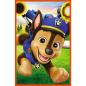 Puzzle "Psia Zgraja - Psi Patrol" 3x80 Trefl EAN: 5900511348866