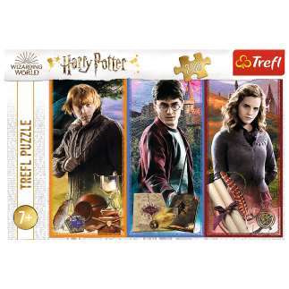 Puzzle harry potter 200 el. w świecie magii i czarów trefl 13277