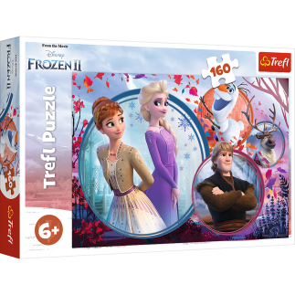 Puzzle - 160 - siostrzana przygoda - disney frozen trefl 15374