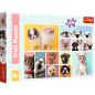 Puzzle Psia Przyjaźń - Trefl 15412 (160 elementów) EAN: 5900511154122