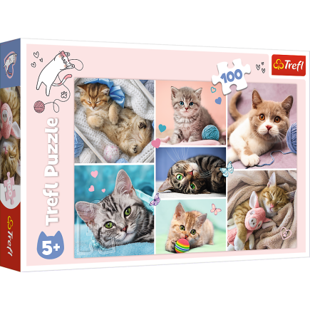 Puzzle - 100 - w kocim świecie - trefl 16420