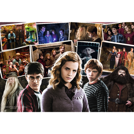 Puzzle Harry Potter i Przyjaciele 160 el. Trefl 15418, EAN: 5900511154184