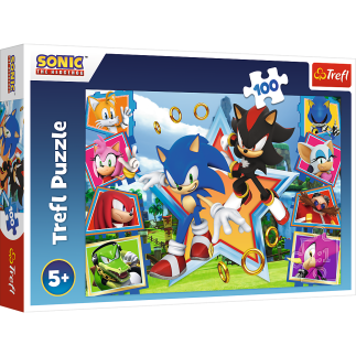 Puzzle - "100" - poznaj sonica trefl 16465