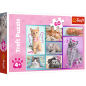 Puzzle "Słodkie Kociaki" 60 elementów Trefl EAN: 5900511173734