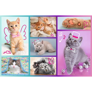 Puzzle "Słodkie Kociaki" 60 elementów Trefl EAN: 5900511173734