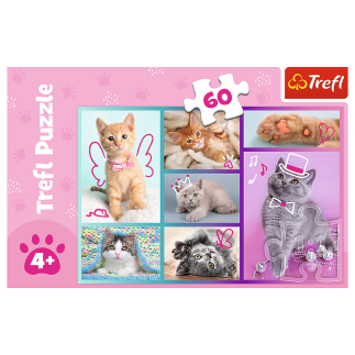 Puzzle - "60"- słodkie kociaki / trefl 17373