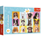 Puzzle "Słodkie Psiaki" 60 elementów - Trefl 17374, EAN: 5900511173741