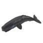 Zestaw Mini Figurek Morskich - Ssaki: Orka, Delfin (6 szt.) EAN: 5905991070641 Zestaw Mini Figurek Morskich - Ssaki: Orka, Delfin (6 szt.) EAN: 5905991070641