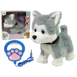 Pluszowy piesek husky interaktywny edukacyjny smycz piosenki chodzi