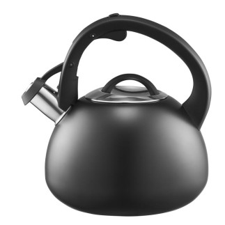 AM-HUDSON CZAJNIK 2,6L(3,0L)CZARNY IND