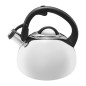 AM-HUDSON CZAJNIK 2,6L(3,0L)MIRROR IND