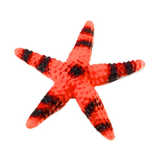 Zestaw figurki zwierzęta morskie krab rozgwiazda kałamarnica amonit 5szt.