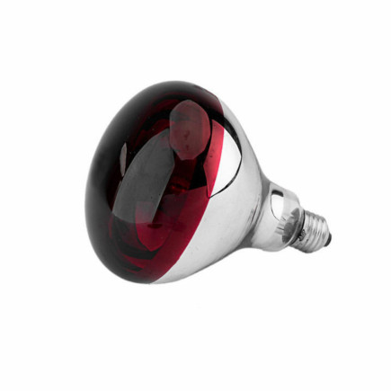 Zd162 promiennik podczerwieni żarówka     150w