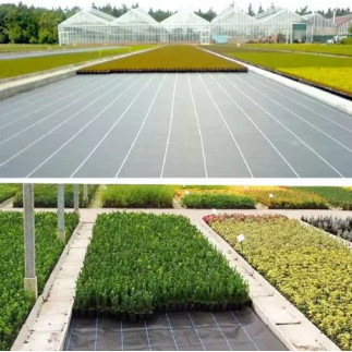 Agrotkanina czarna 160 cm x50m uv 90g antychwastowa agrowłóknina + kotwy