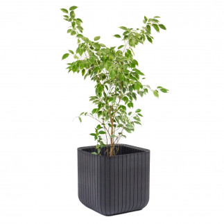 Doniczka keter cube wood planter l antracyt