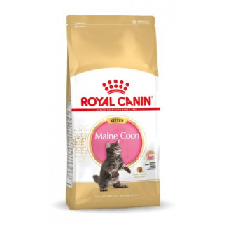 Royal canin fbn maine coon kitten - sucha karma dla kociąt - 10kg